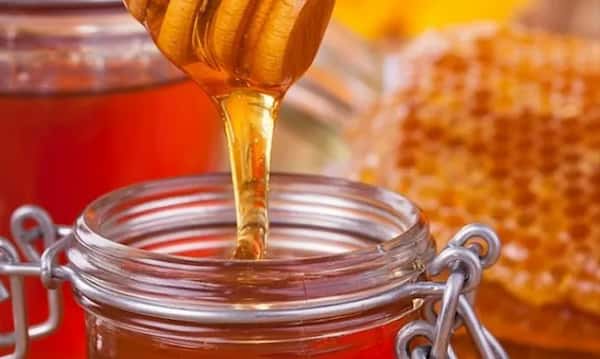 تصویر 1 از فروش عسل آویشن اصل + قیمت خرید به صرفه